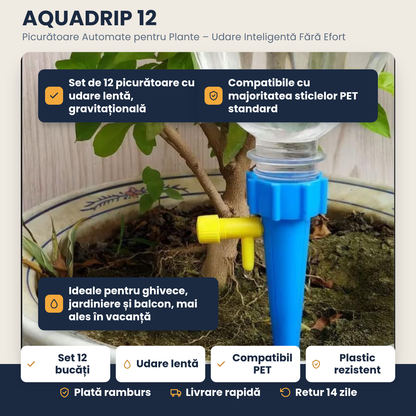 AQUADRIP 12 – Picurătoare automată pentru plante – Set 12 bucăți, udare inteligentă fără efort