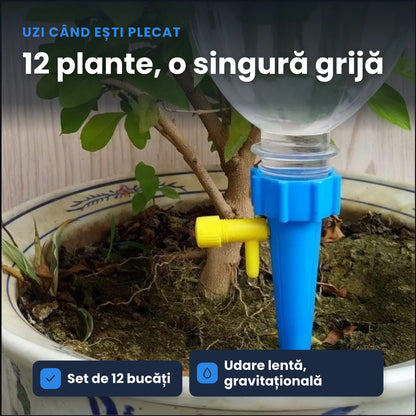 AQUADRIP 12 – Picurătoare automată pentru plante – Set 12 bucăți, udare inteligentă fără efort